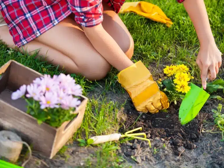 Transforme seu jardim em 7 dias