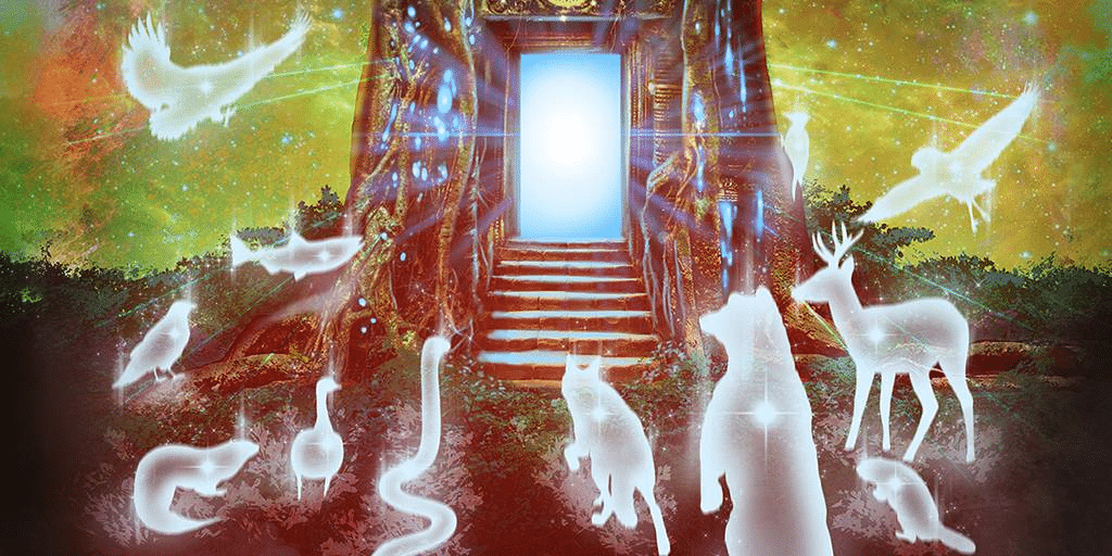 Xamanismo: Conecte-se com Animais Espirituais