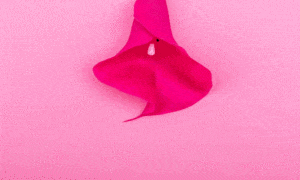 Aprenda pompoarismo com o Aperta & Solta