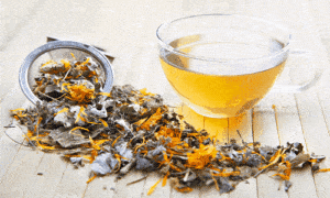 Explore 15 Ervas Medicinais Raras