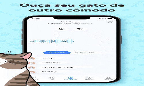 Descubra o que seu gato quer!