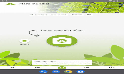 Transforme Seu Quintal em 5 Minutos