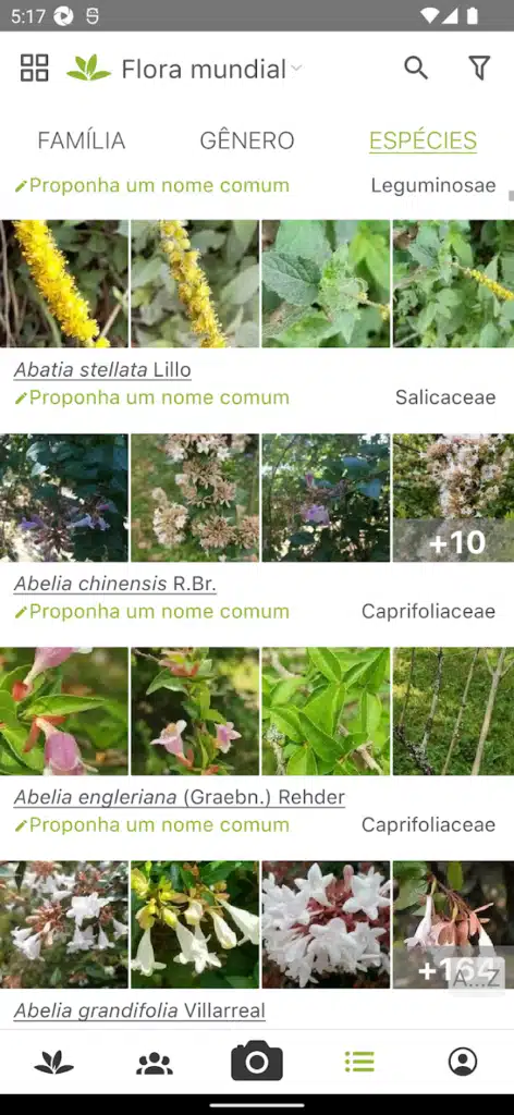 Transforme Seu Quintal em 5 Minutos