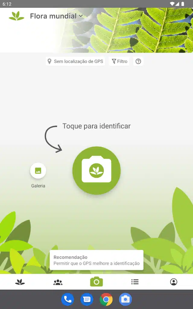 Transforme Seu Quintal em 5 Minutos